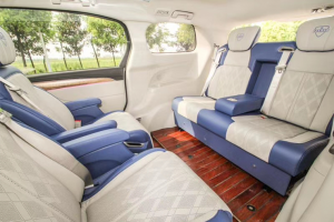 Luxury Back Seat, Mercedez Series 1