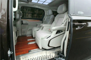Luxury Car Seat Alphard Series 1